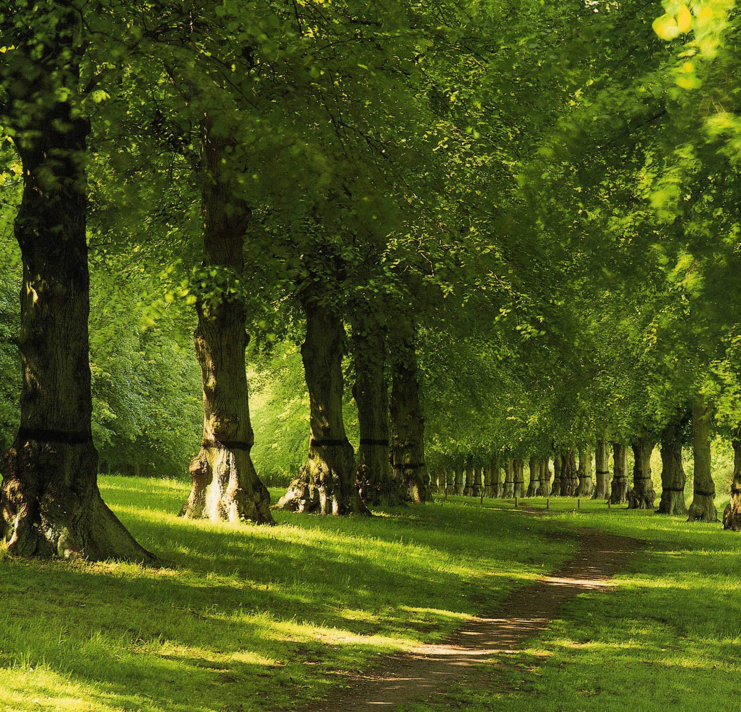 A leggyönyörűbb őszi kirándulóhelyek, parkok és erdős területek Nagy-Britanniában 18