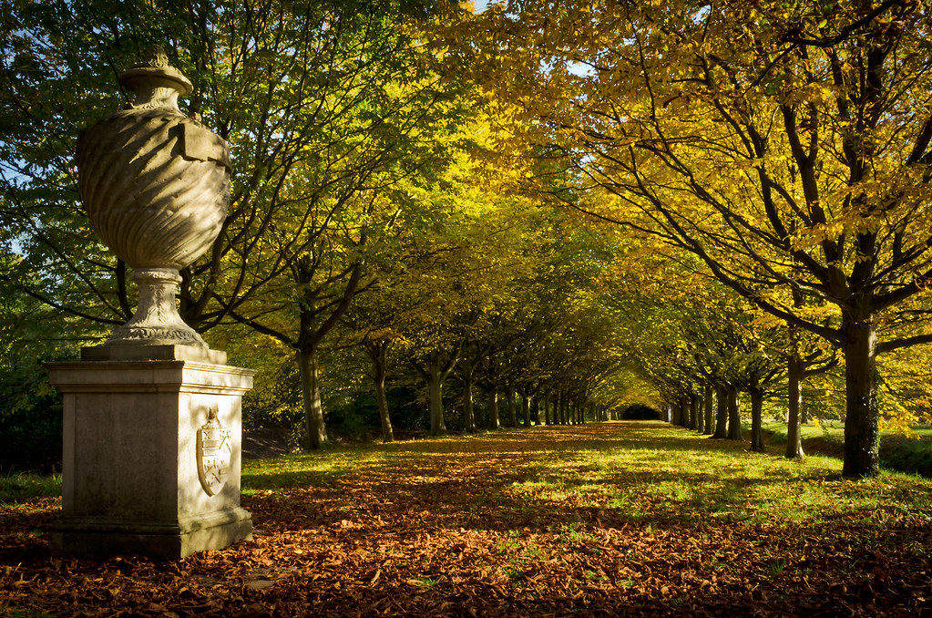 A leggyönyörűbb őszi kirándulóhelyek, parkok és erdős területek Nagy-Britanniában 7