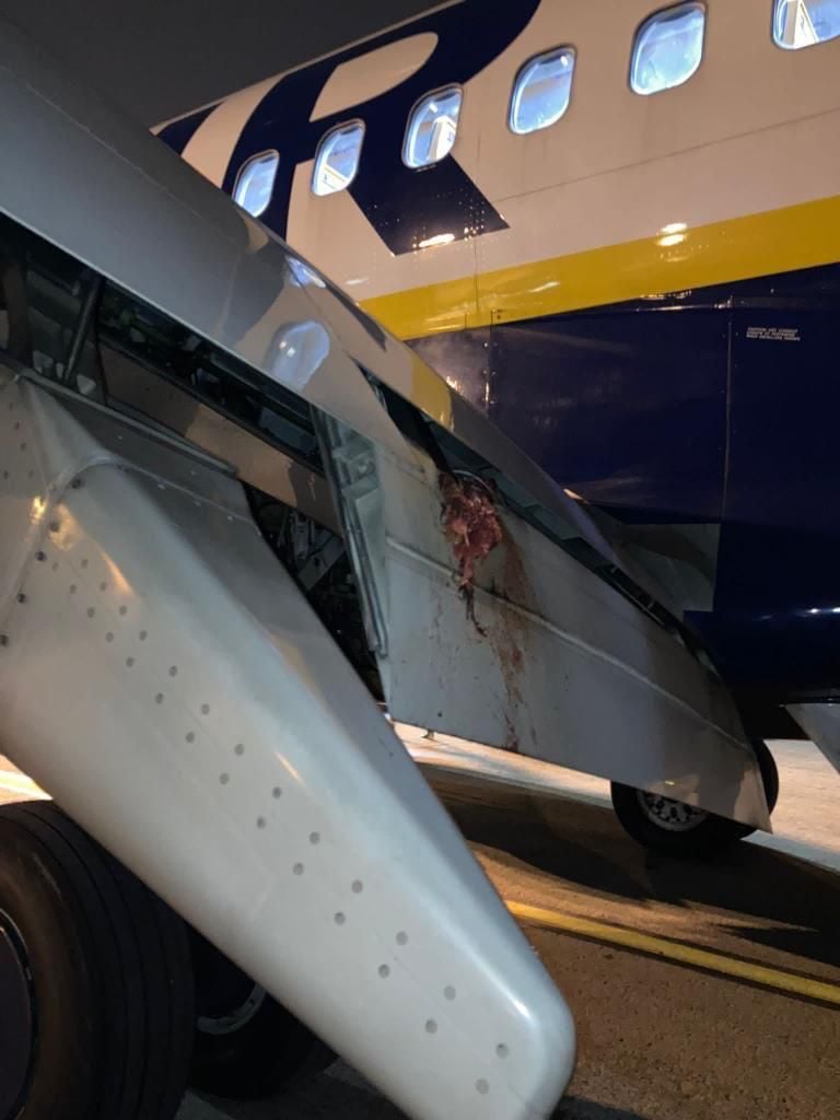 Lángok csaptak ki a Ryanair egyik londoni járatából, miután madárrajjal ütközött össze leszállás közben 5