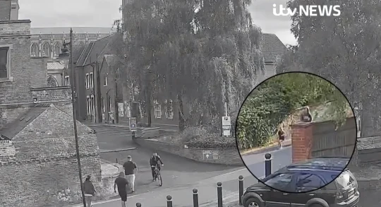 Újabb videofelvételek kerültek elő az Angliában megkéselt 9 éves kislány utolsó pillanatairól 3
