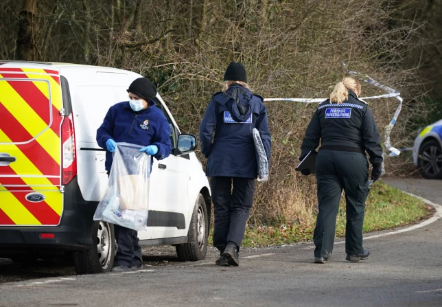 Újabb megdöbbentő részletek a halálos kutyatámadásról Angliában: a fiatal nőt azok a kutyák marcangolták halálra amelyeket sétáltatott 6