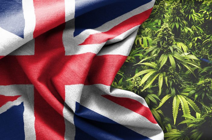 Óriási előrelépés: Nagy-Britanniában receptre kapható lesz az orvosi marihuána 3