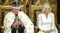 A Király beszéde: fontos bejelentések, amik egész Nagy-Britannia, és a lakosság jövőjét érintik