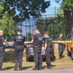 Súlyos baleset Délkelet-Angliában, gyerekekre dőlt egy fa: többen kórházban, ketten súlyos sérüléseket szenvedtek