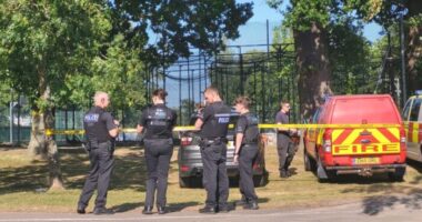 Súlyos baleset Délkelet-Angliában, gyerekekre dőlt egy fa: többen kórházban, ketten súlyos sérüléseket szenvedtek