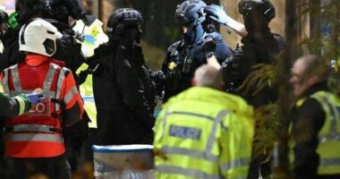 Újabb fejlemények és megdöbbentő nyilatkozatok a londoni vonaton történt vérengzés kapcsán