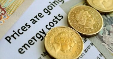 Közölték egy brit családdal, hogy több, mint 50,000 GBP-s éves energiaszámlára számítsanak