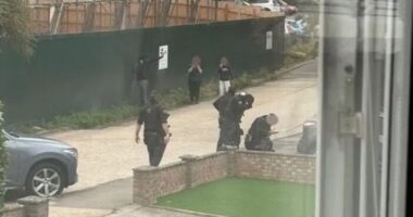 Karddal és késsel rontott rá a fegyveres rendőrökre egy férfi Angliában, Gravesendben