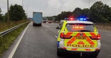 18 embert mentettek ki egy hűtőkamionból Angliában