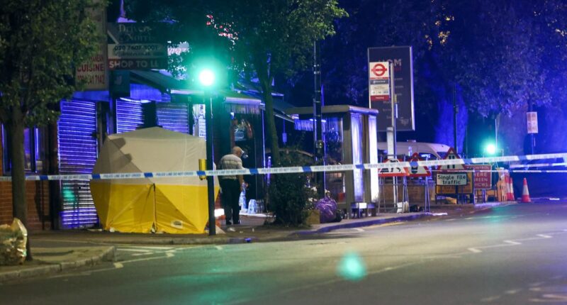 Az utcán lőttek agyon egy férfit London egyik magyarok által sűrűn lakott környékén 5