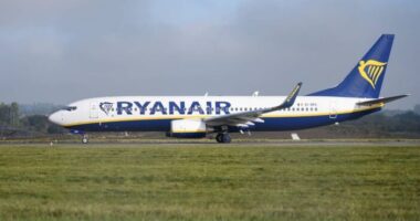 Hatalmas felfordulás, vállalhatatlanul viselkedő utasok a Ryanair egyik angliai járatán - volt, aki a folyosón vizelt 23