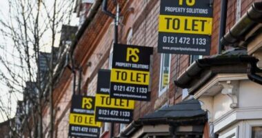 Hét új törvény a bérlők és a landlordok jogait illetően az Egyesült Királyságban, amiről mindenkinek fontos tudni