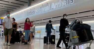 Újabb jó hír: ingyen tesztet kaphatnak az Angliából utazók