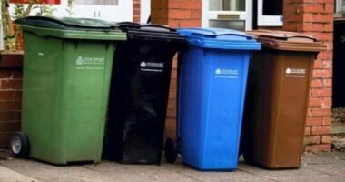 £400-ra büntették meg őket, mert rosszkor vitték ki a kukát