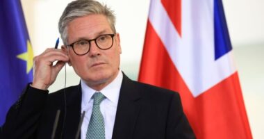 Visszaállhat a munkaerő szabad áramlása a fiatalok számára az EU és az Egyesült Királyság közt - ez rengeteg EU állampolgárt is érint