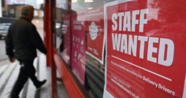 Vagy 1 millió dolgozó hiányozhat Nagy-Britanniában a munkaerőpiacról: hatalmas a munkaerőhiány, de hova lettek ennyien?