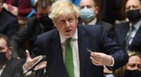 Bajban Boris: Nyilvánosságra hozták a lockdown bulik kapcsán indított belső vizsgálat eredményeit 2