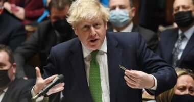 Bajban Boris: Nyilvánosságra hozták a lockdown bulik kapcsán indított belső vizsgálat eredményeit