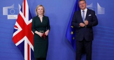 A brit kormány azzal fenyegeti az EU-t, hogy felmondja az észak-írországi protokollt, kereskedelmi háborút és még nagyobb káoszt létrehozva ezzel