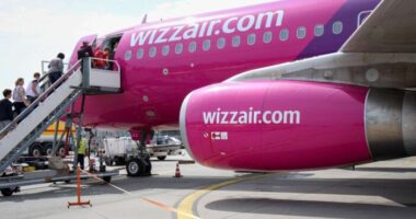 wizzai külföldi magyarok