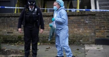 4 éves kisfiút késeltek halálra Londonban