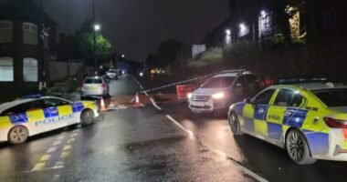 1 ember meghalt, többen megsérültek - autóval szándékosan emberek közé hajtott egy férfi Angliában, Sheffieldben