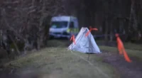 Kutyasétáltatás közben lőttek agyon egy férfit Nagy-Britanniában, Perthshire területén 2