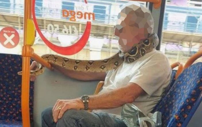 Élő kígyót használt szájmaszknak egy férfi a buszon Angliában 4