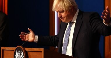 A Coviddal való együttélés a továbbiakban: Boris Johnson tegnapi nagy bejelentése arról, hogyan tovább