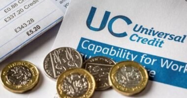 Hivatalosan is megerősítették, hogy változnak a támogatások havi összegei 2023-tól Nagy-Britanniában