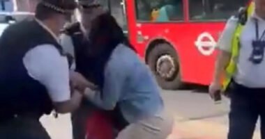 A síró gyermeke szeme láttára bilincseltek meg egy anyukát a rendőrök Londonban, mert azt hitték nem vett buszjegyet