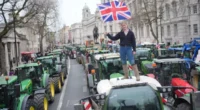 Hatalmas gazdatüntetés Londonban: traktorokkal szállták meg a belvárost Hatalmas gazdatüntetés Londonban: traktorokkal szállták meg a belvárost