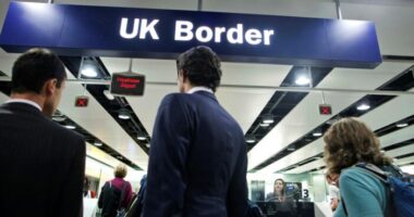A külföldi bevándorlók az Egyesült Királyságban nagyobb valószínűséggel dolgoznak, mint az itt született emberek, és jóval kevesebben igényelnek támogatást – hivatalos statisztikák 3