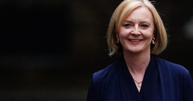 Alig pár hete van új miniszterelnök, és már több mint 100,000-en szavaztak arra, hogy azonnali választások és kormányváltás legyen, mert akkora a káosz