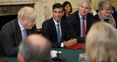 Kiderült, ki lehet az új miniszterelnök, ha Boris Johnson távozik a lockdown bulis botrány miatt