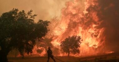 Olyan óriási bozóttüzek vannak Európa több országában, hogy Nagy-Britannia egét is beborítja a füst