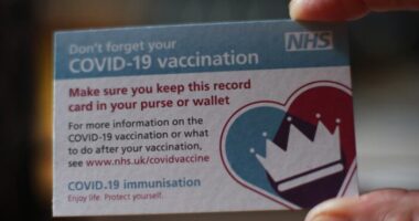 oltási útlevél anglia