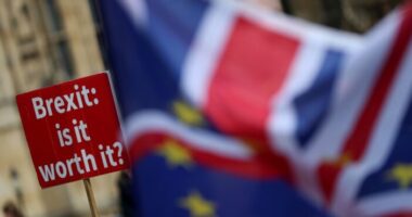 A Brexit valódi ára: Megdöbbentő statisztikákat hoztak nyilvánosságra a kilépés eddigi költségeiről 7