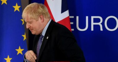 Felfüggeszthetik a Brexit megállapodást, ha Boris Johnson elindítja a 16. cikkelyt 7