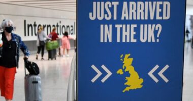 Haza tudunk utazni karácsonyra? - Új lehetőség a karantén hosszának csökkentésére Angliában