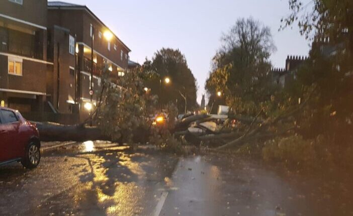 Hurrikán erejű vihar Londonban és Dél-Anglia több területén: fákat tépett ki és épületeket rongált meg az óriási erejű szél 22
