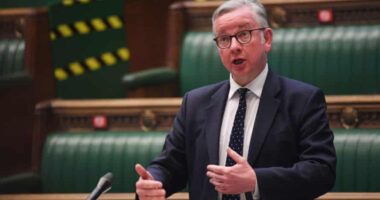 Jó hír az oltási igazolványok belföldi használatát illetően Nagy-Britanniában