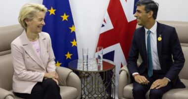 „A Brexit katasztrofális hatást gyakorolt Nagy-Britanniára, és újra szorosabb kapcsolat kell az EU-val” – a közismert szupermarketlánc vezetője nyilatkozott