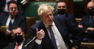 Akár heteken belül vége lehet a korlátozásoknak, vagy legalább egy részüknek Nagy-Britanniában