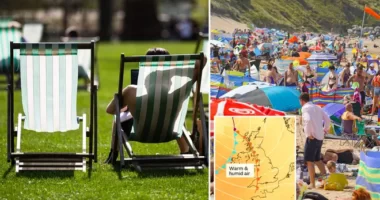 A Met Office közölte a pontos dátumot, hogy mikor jöhet a kánikula és az akár 40C-os hőség Nagy-Britanniában