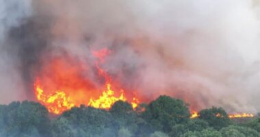 Hatalmas tűzvész pusztít Angliában, Dorsetben: Rendkívüli állapotot hirdettek