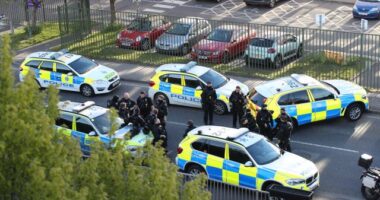 Lövések dördültek el az egyik angliai főiskolán: ketten könnyebben sérültek