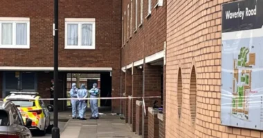 Fejbe lőttek egy fiatalt egy magyarok által is sűrűn lakott városrészben Londonban