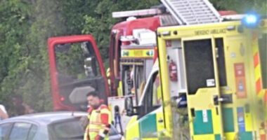 Tragédia az M4-es autópályán Angliában: egy gyermek vesztette életét, többen súlyosan megsérültek, amikor felborult egy minibusz