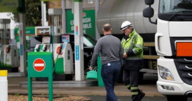 Nem fogjátok elhinni, hogy összesen hány EU-s teherautó sofőr jelentkezett Anglia „megmentésére”